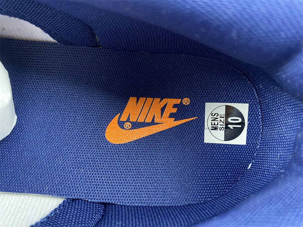 from Nike SB Dunk Low Michigan DD1391-700