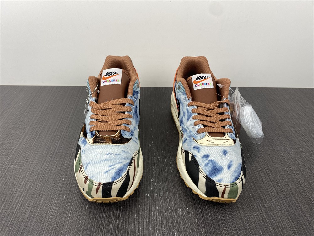 from Nike Air Max 1x Concepts DN1803-900