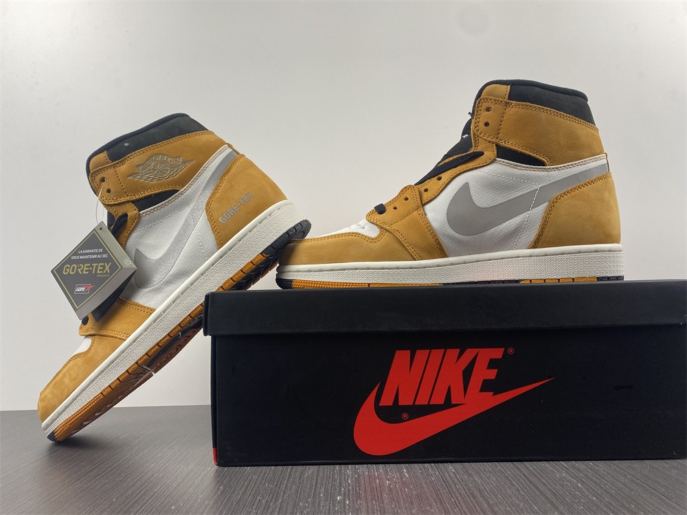 Air Jordan 1 Element DB2889-700