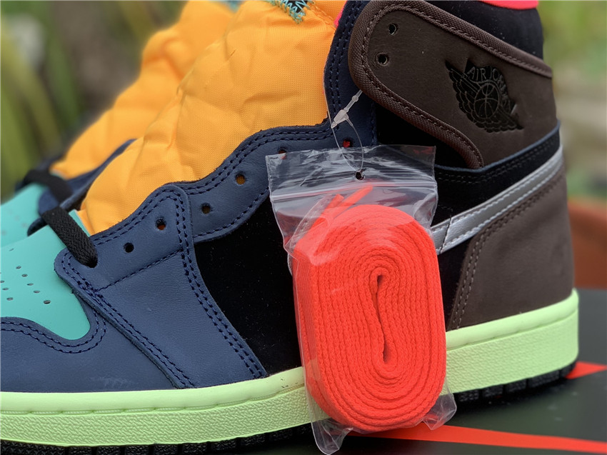 Air Jordan 1 “Bio Hack” 555088-201