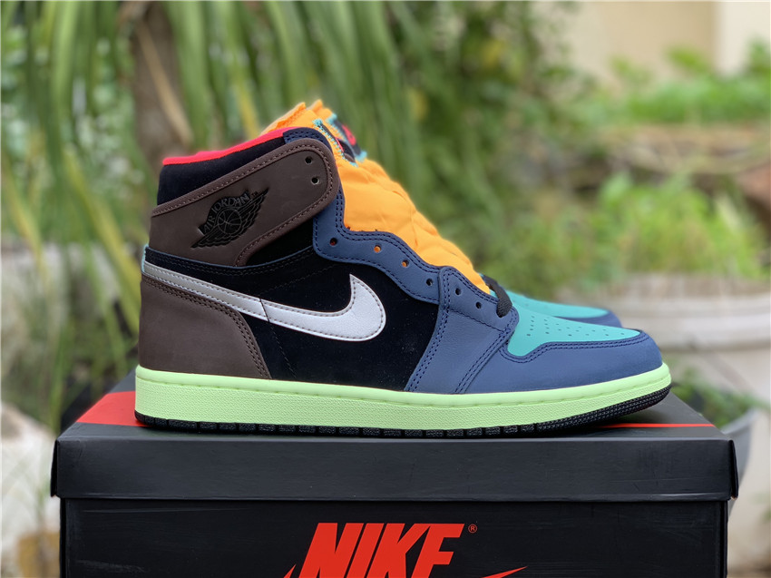 Air Jordan 1 “Bio Hack” 555088-201