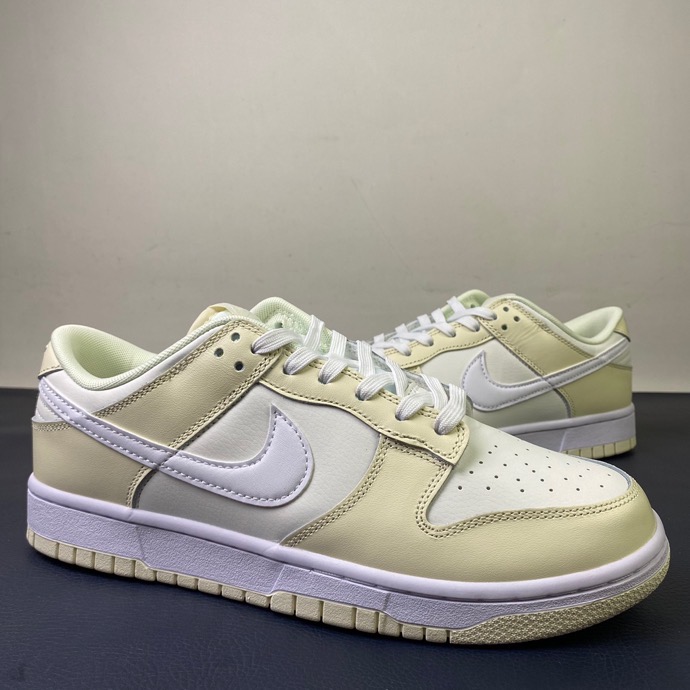 from Nike SB Dunk Low DJ6188 100