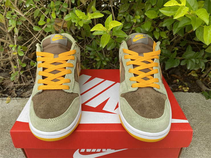 from Nike SB Dunk Low SE Dusty Olive DH5360-300