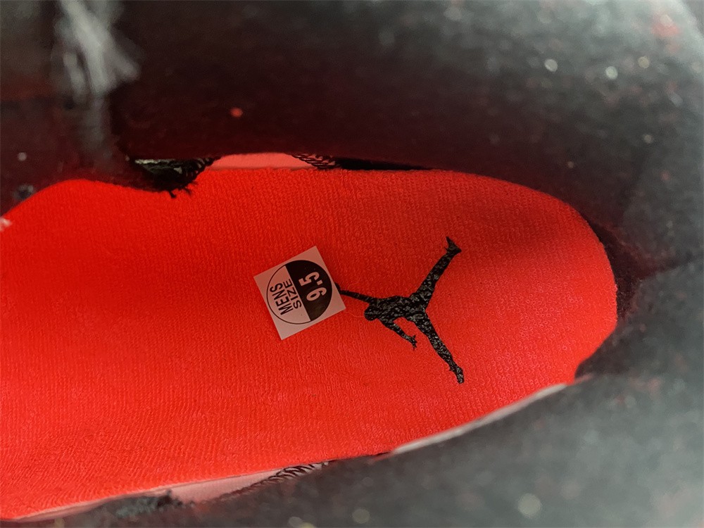 Air Jordan 6 White Infrared 384664-123