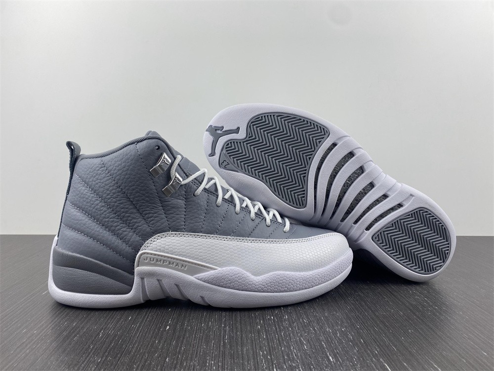 Air Jordan 12 STEALTH CT8013-015