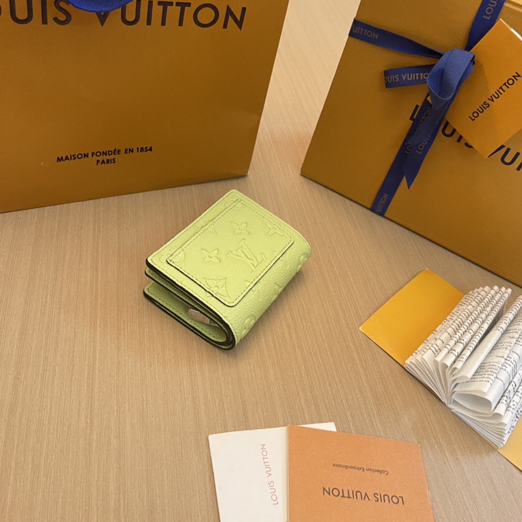 L*ouis V*uitton Top Bag