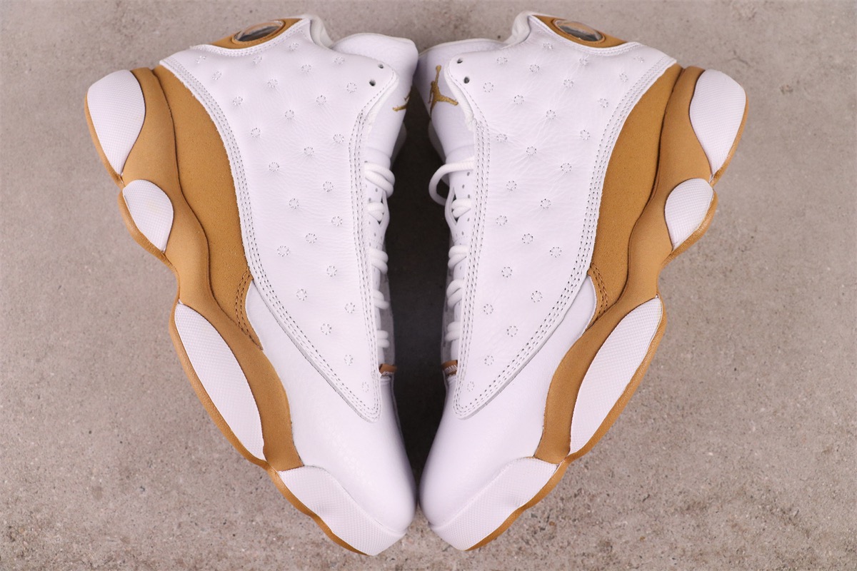 Air Jordan 13