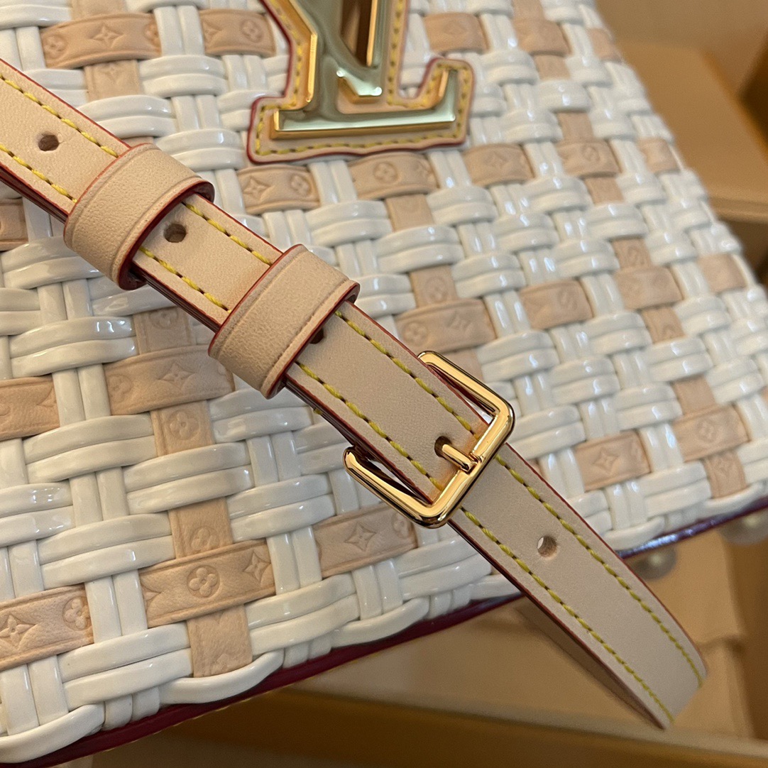 L*ouis V*uitton Top Bag