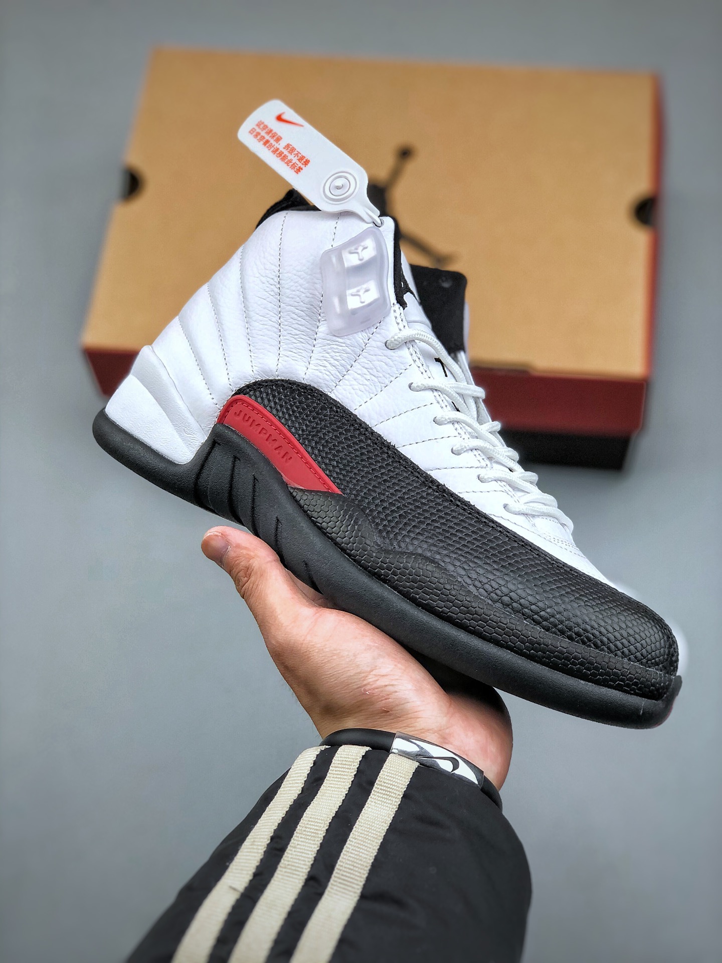 Air Jordan 12