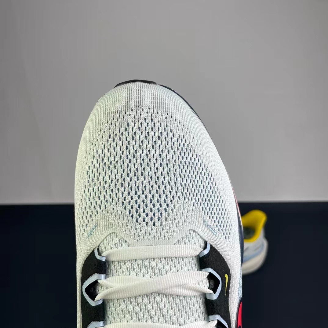 Men Nike pegasus 41 Air zoom