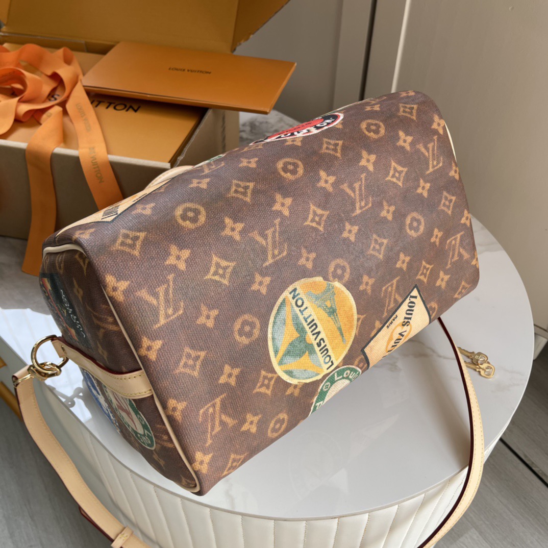 L*ouis V*uitton Top Bag