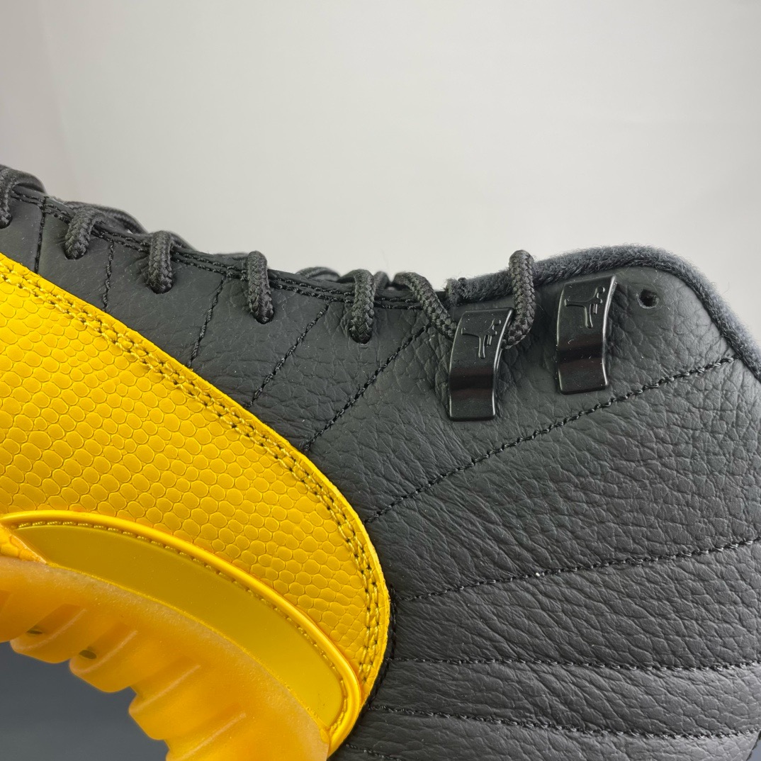 Air Jordan 12