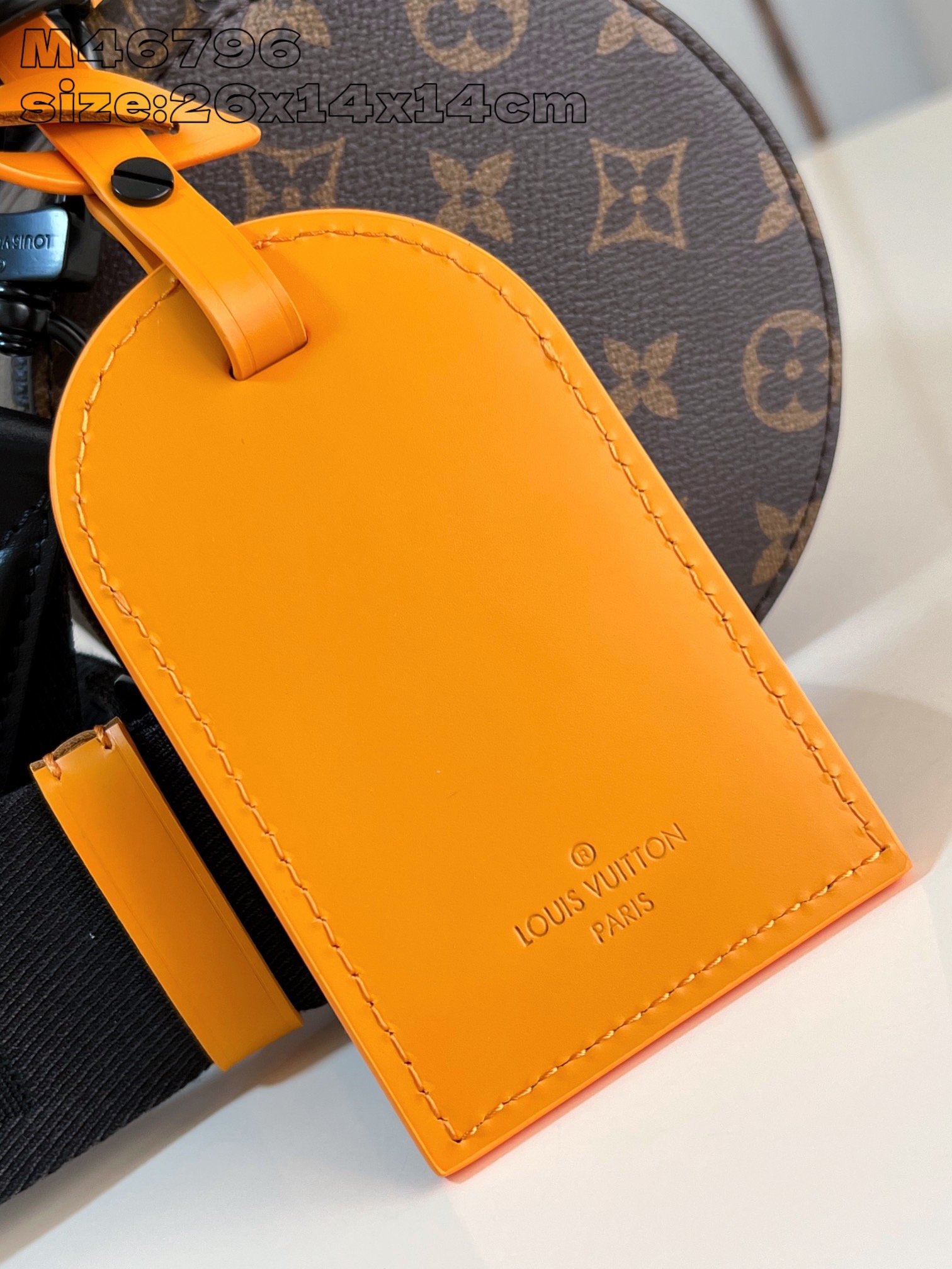 L*ouis V*uitton Top Bag