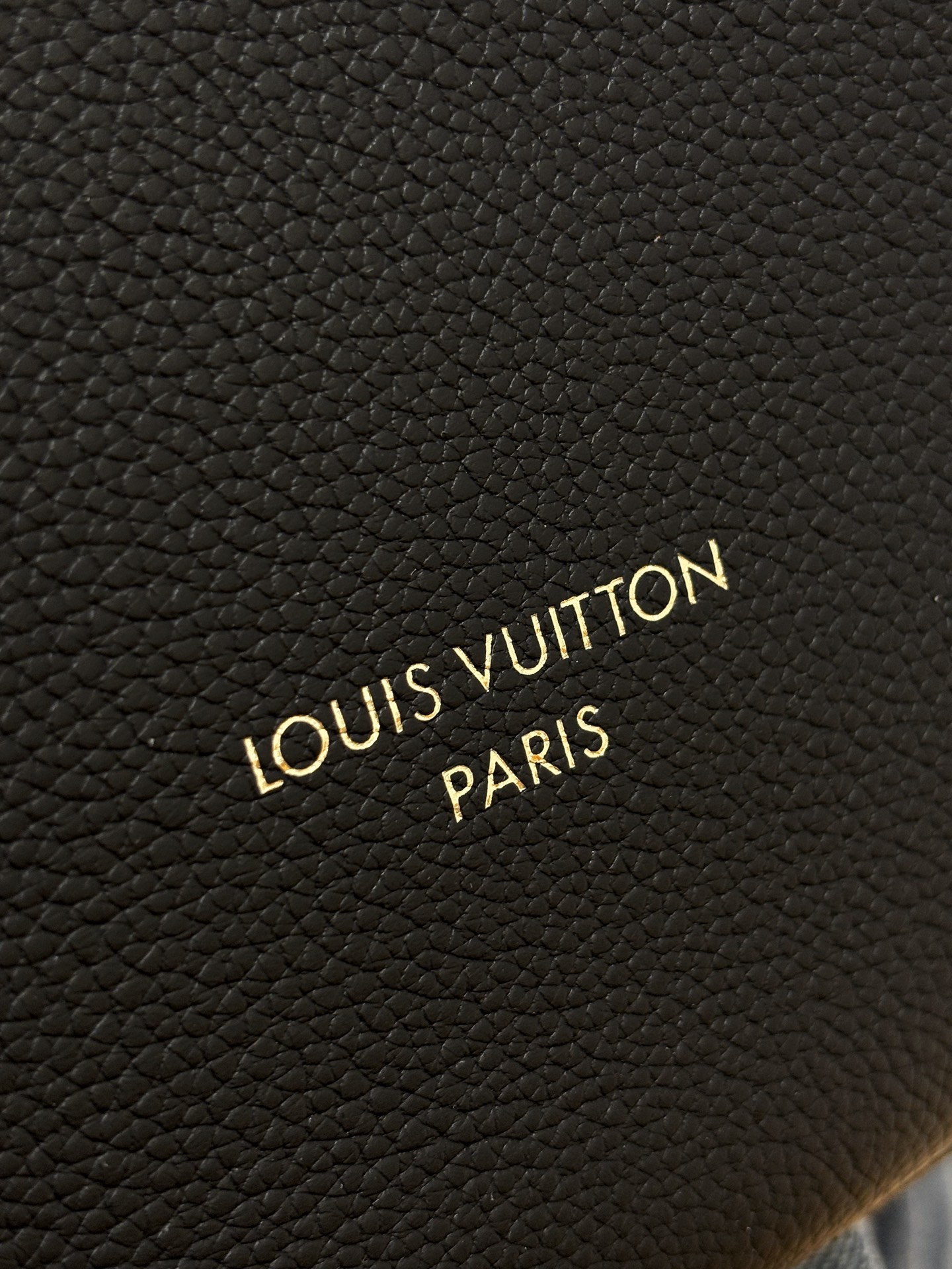 L*ouis V*uitton Top Bag